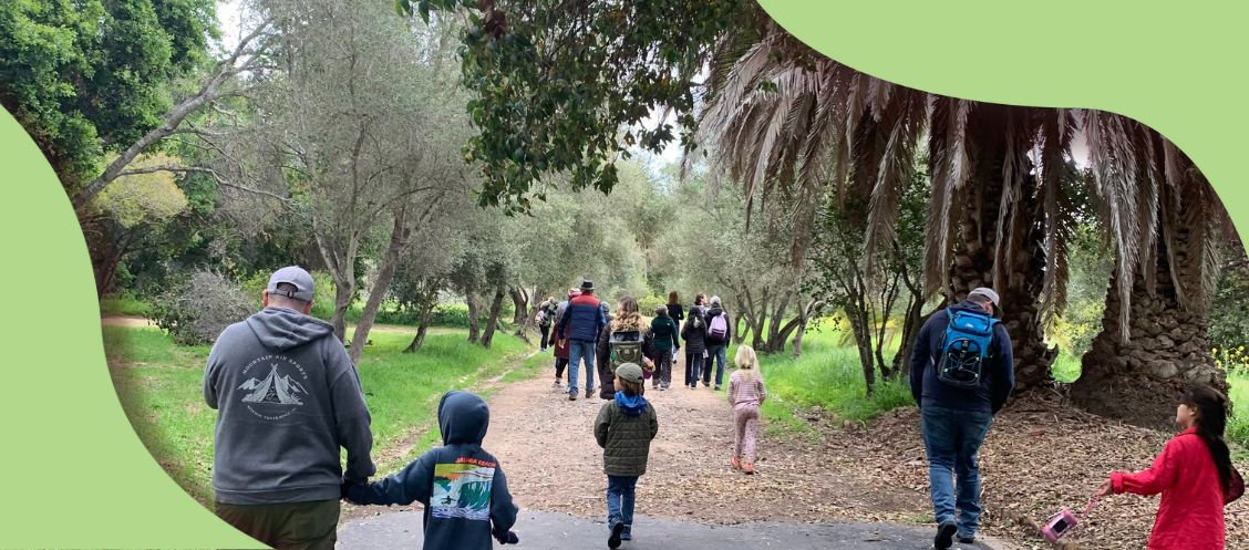 people walking in a park