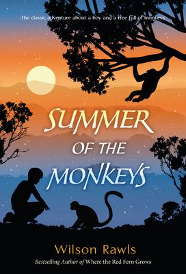 Book cover of Summer of the Monkey