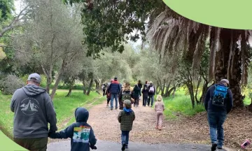 people walking in a park