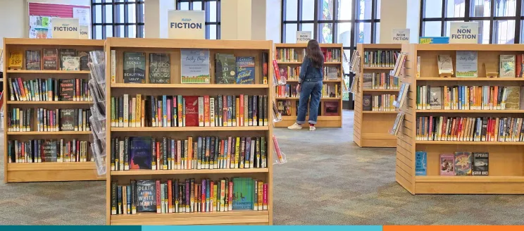 Library book shelves