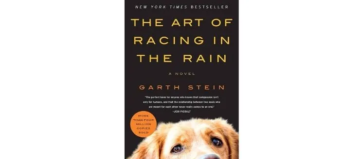 The art of racing in the rain: a novel by Garth Stein